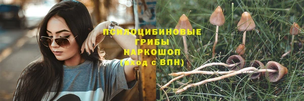 хмурый Армянск